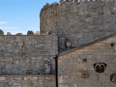 Picture 21